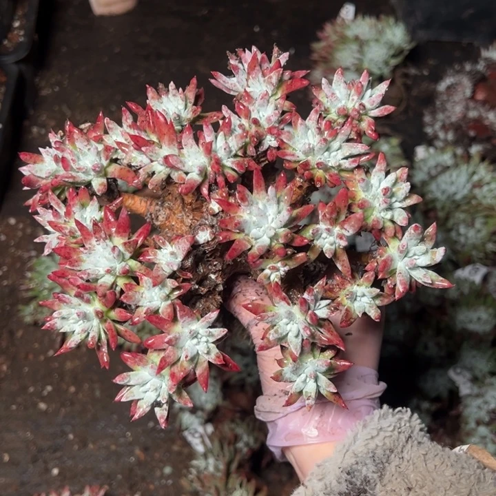 232哈哈哈哈哈哈哈哈哈