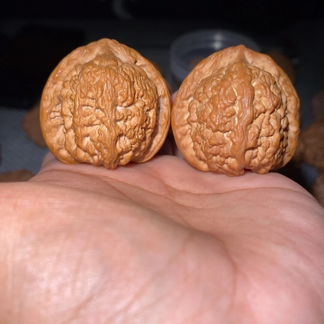 8****吊坠桃核40尺蚂蚁沟