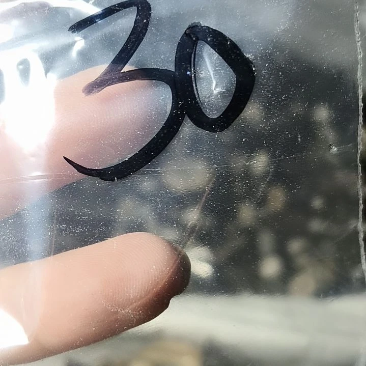 婷***店非金属无鹿角鹿角鹿角鹿角鹿角鹿角