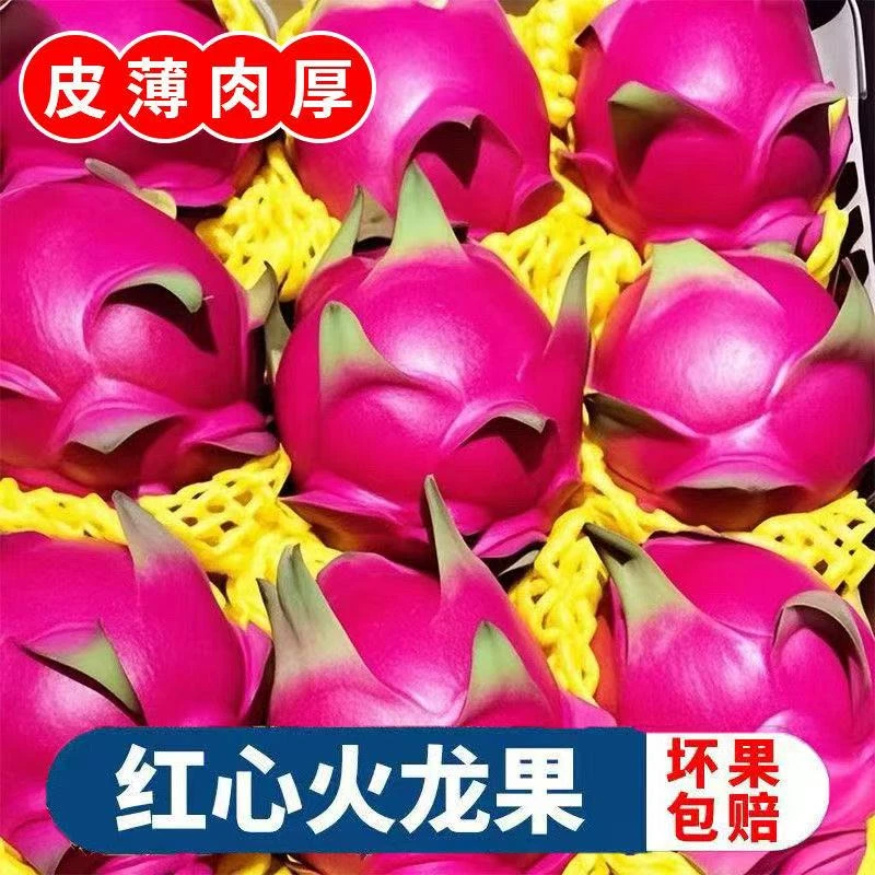 【产地直发】广西火龙果金都一号红心红肉红色新鲜水果香甜饱满鲜嫩