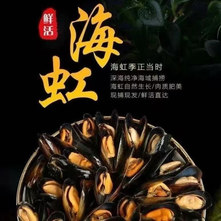 5斤本地海虹鲜活 包邮