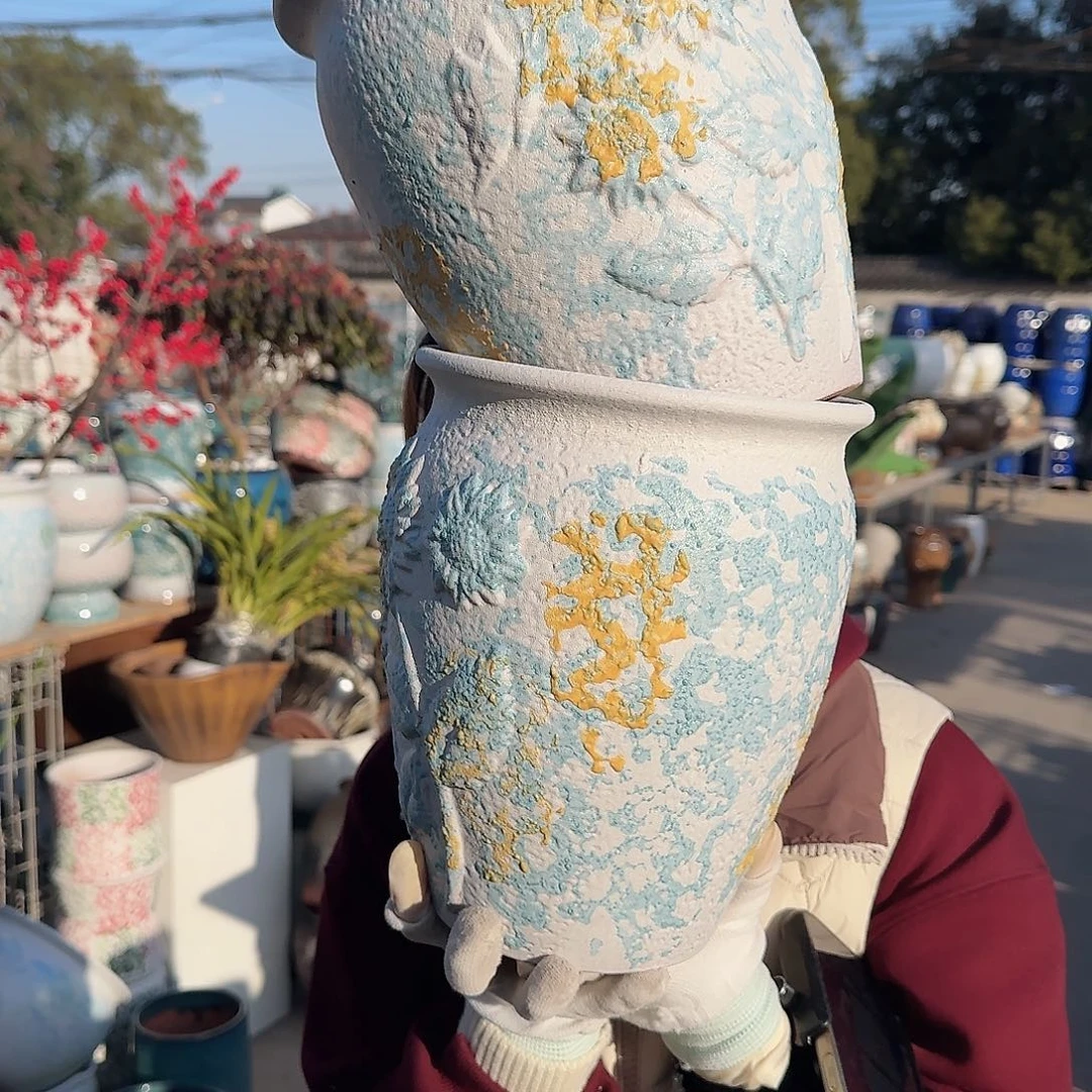 王嫂花盆直播1126-359高24口19