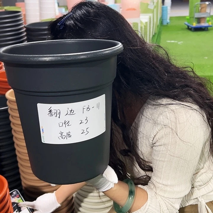 清仓翻边口23高25混色5支无托