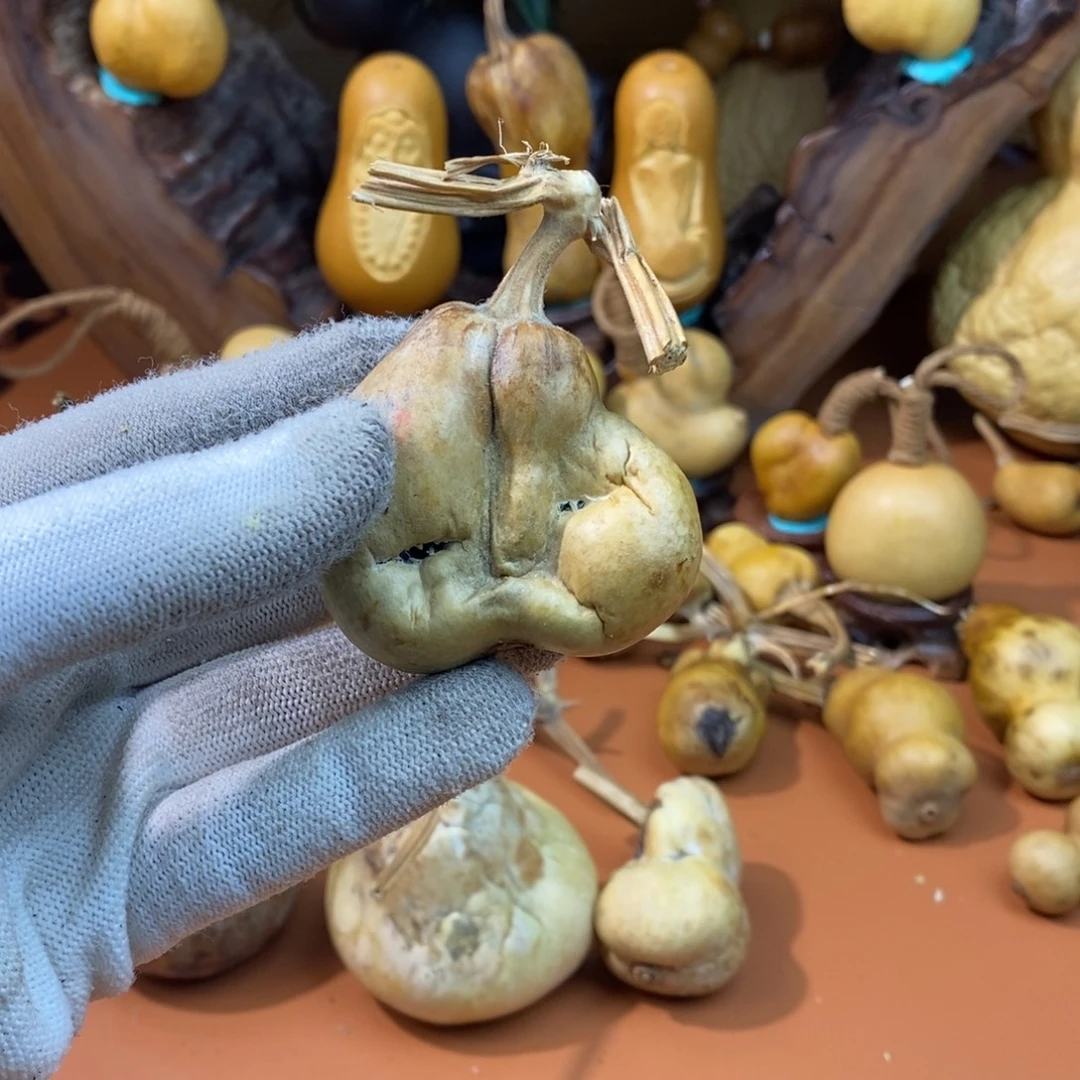 张***张教练咯教练咯教练咯