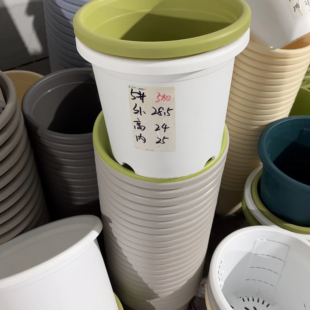 微瑕5号6个无托，白色