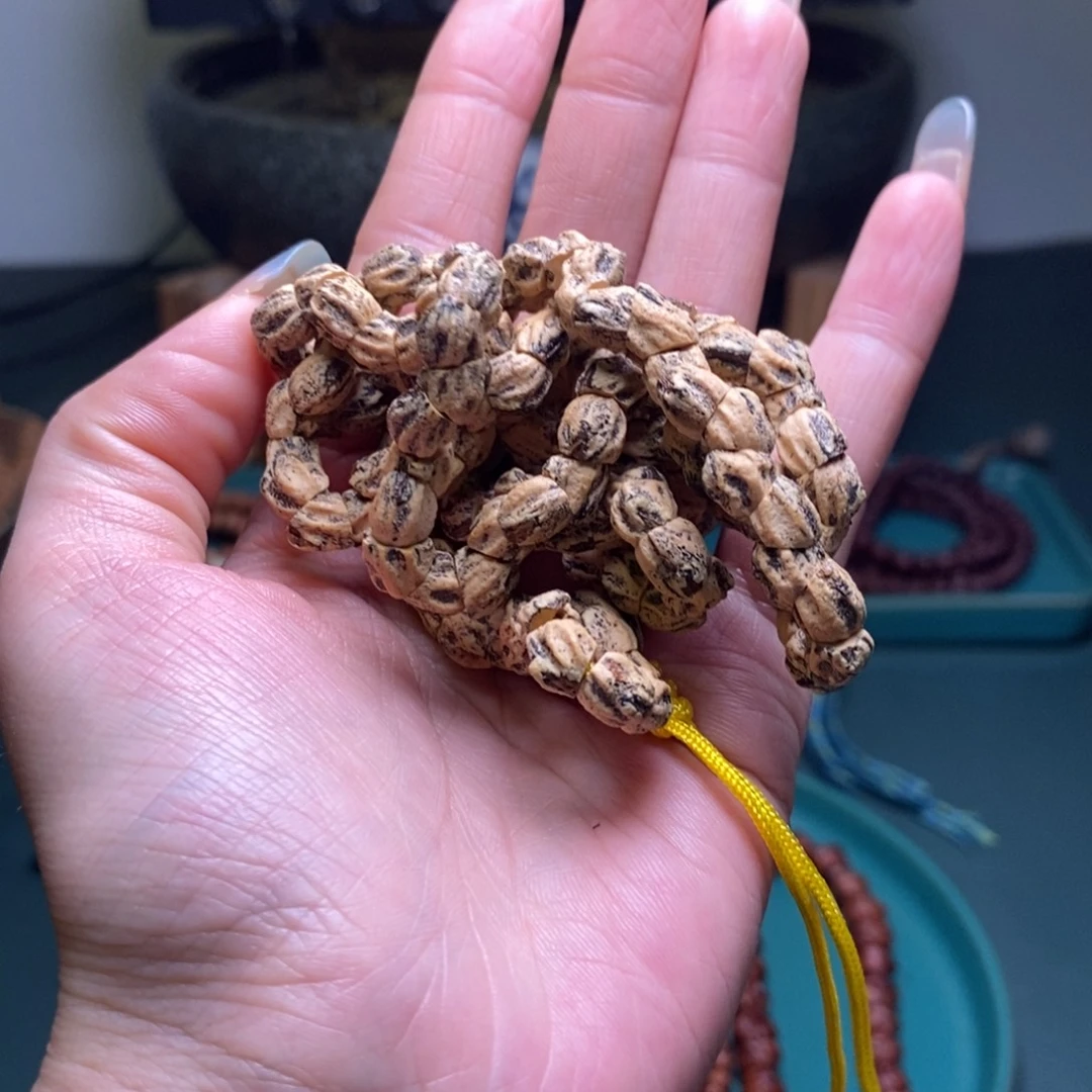 柏香籽/百香籽吊坠549.9青龙鬼肠
