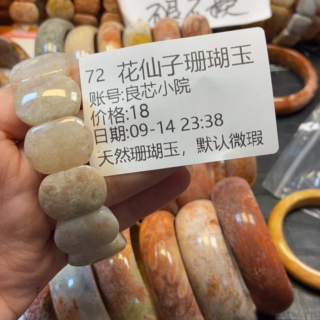 良***院未镶嵌硅化珊瑚（珊瑚玉）珠宝半成品72