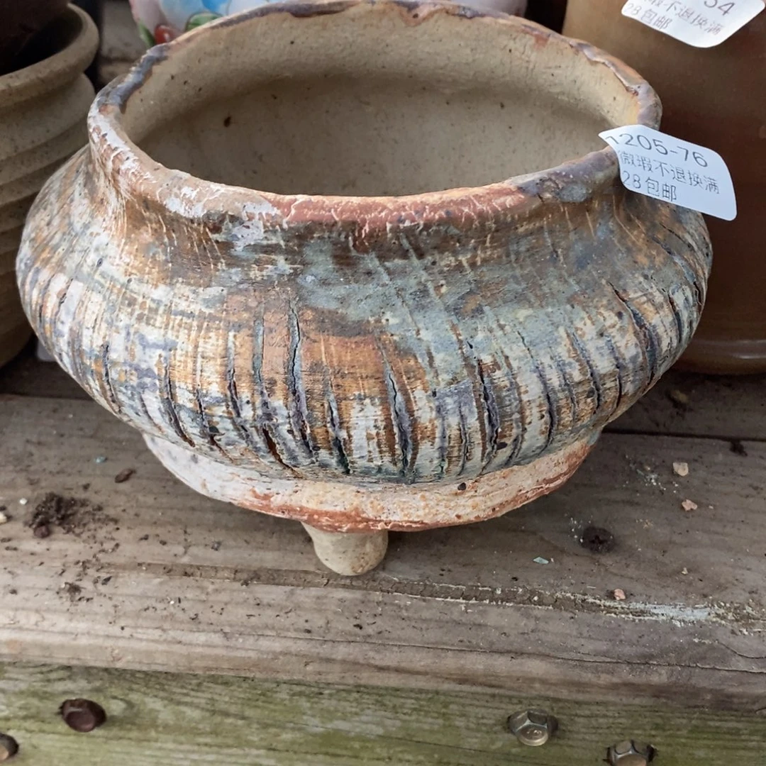 76号多肉盆口径12