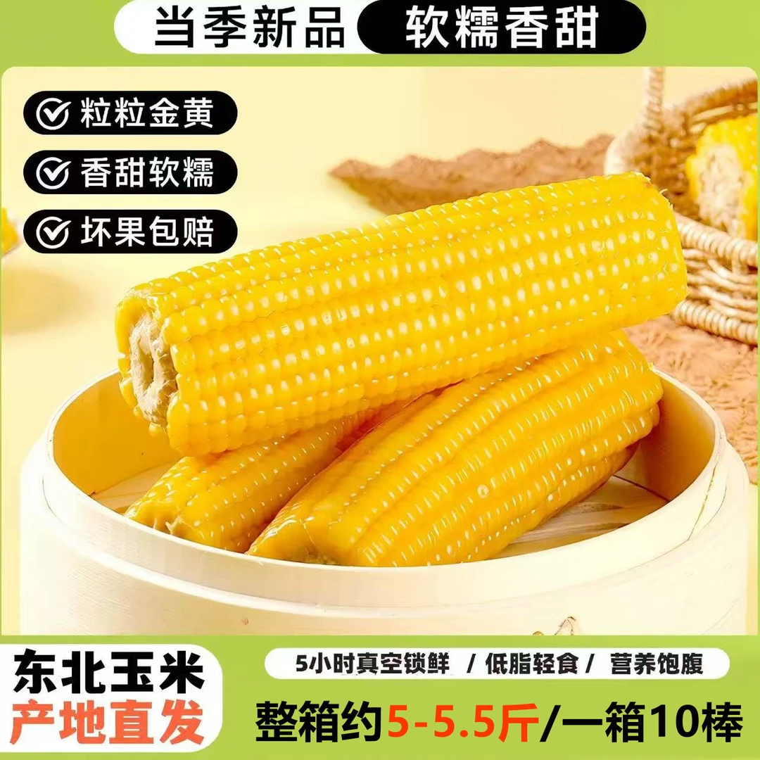 【整箱约5-5.5斤】含试吃2根发10大根黄糯玉米新鲜甜粘玉米可代餐