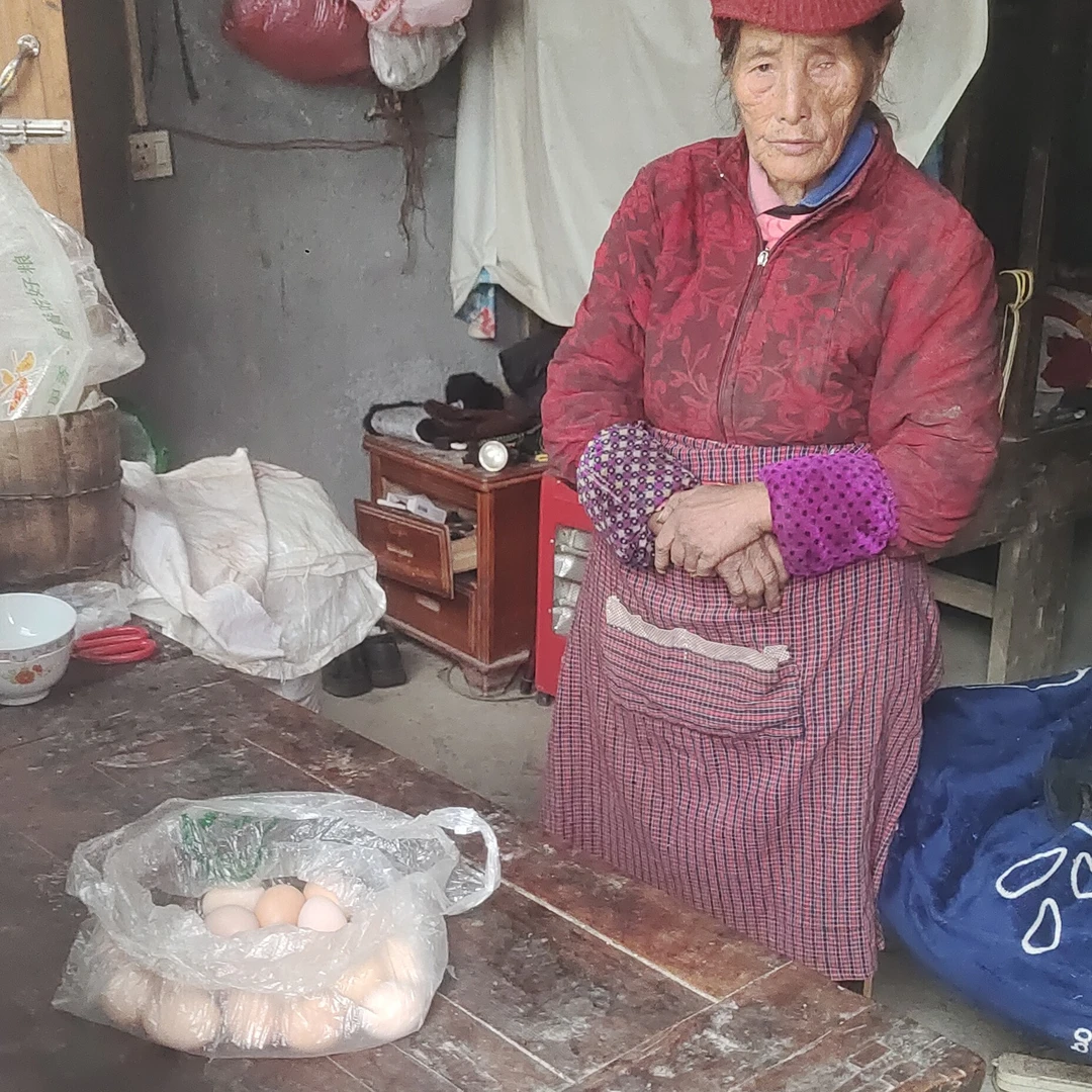 农村鸡蛋可以做番茄炒鸡蛋煎鸡蛋煮鸡蛋茶叶蛋