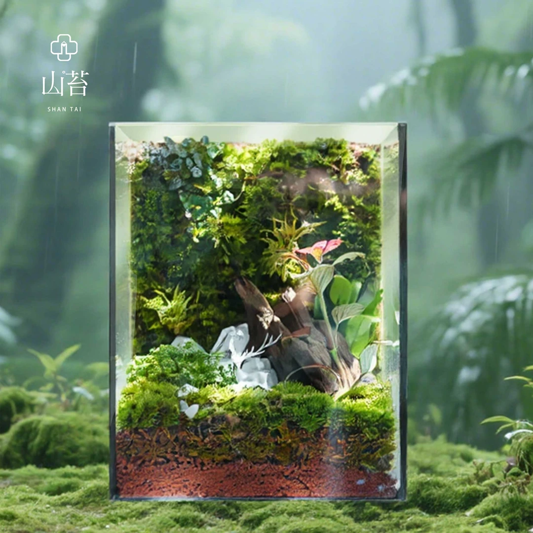 【山苔水晶微景观】创意桌面苔藓微景观生态缸办公室绿植15*15*20