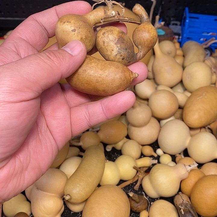 ?精品葫芦手把葫芦96
