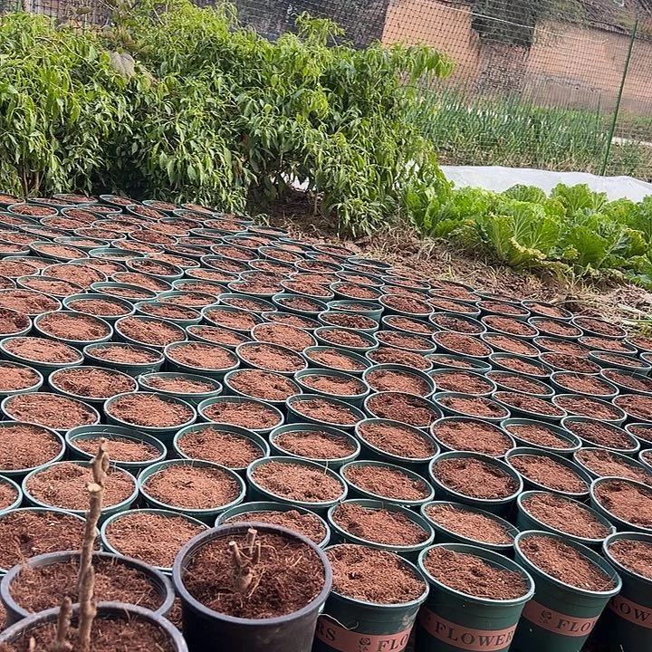 仰***空完全开放沙拉11111