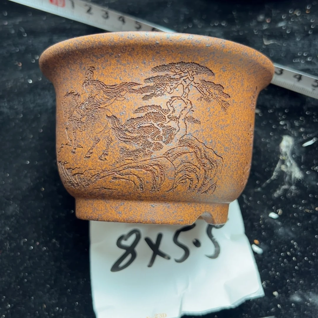 wwwww鹅鹅鹅鹅鹅鹅