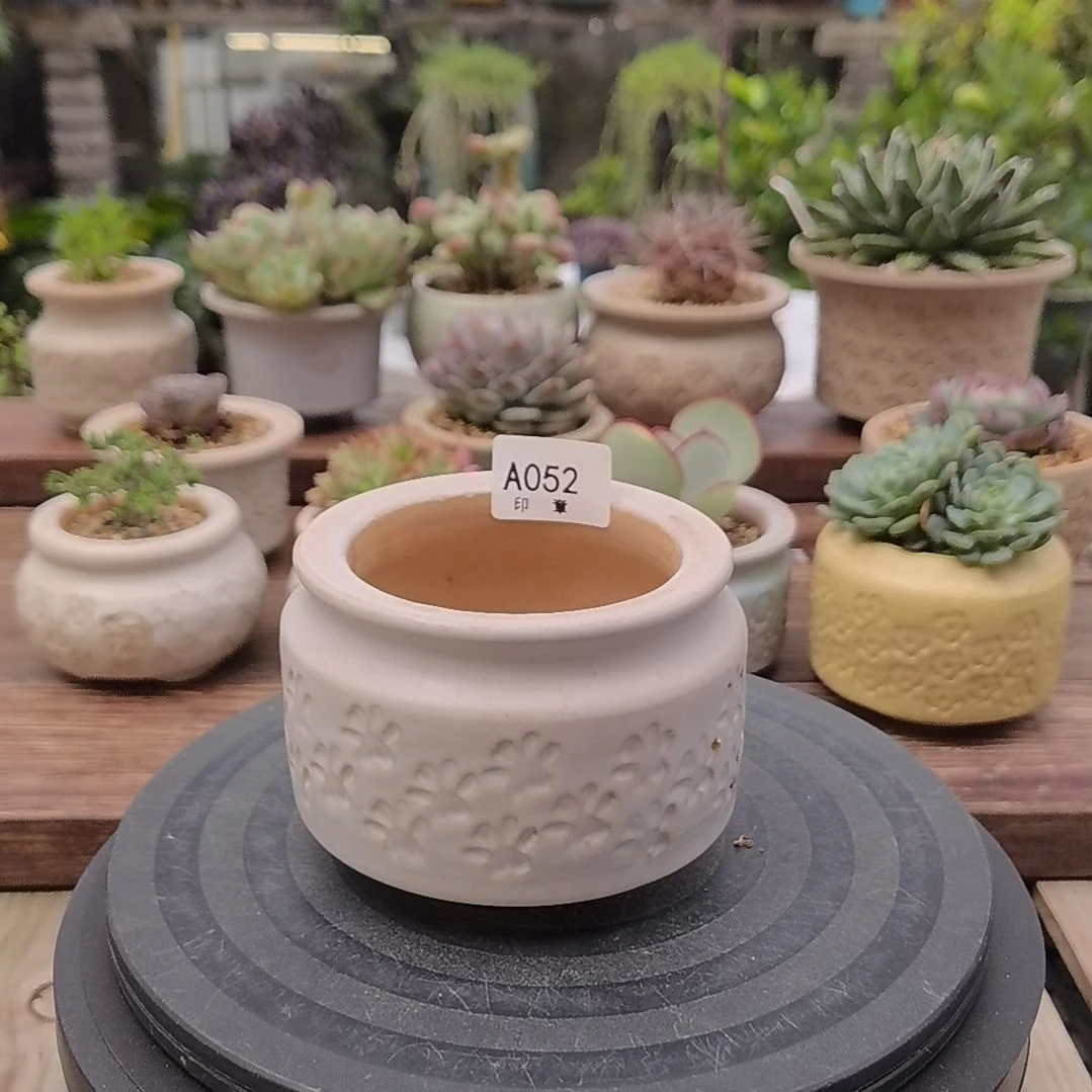 印章多肉花盆A052