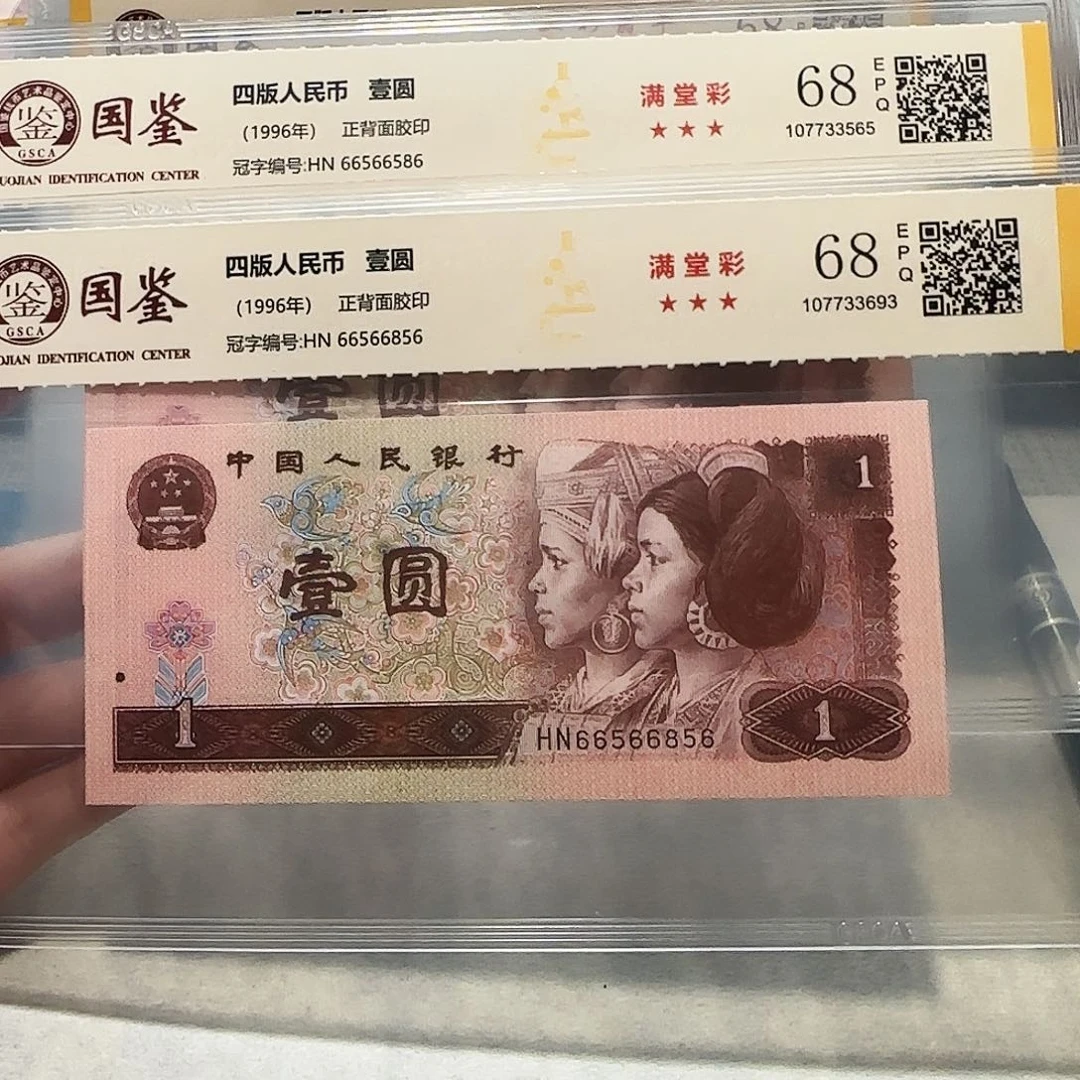 66566586、856。。。。。。。。