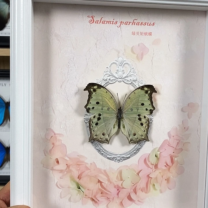 大理石磁石绿贝10寸框