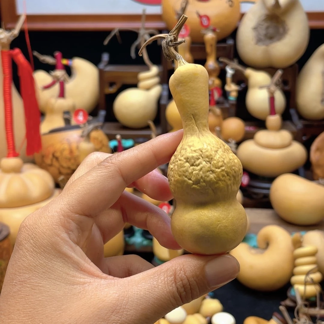 兔*子大自然的秘密第十一节