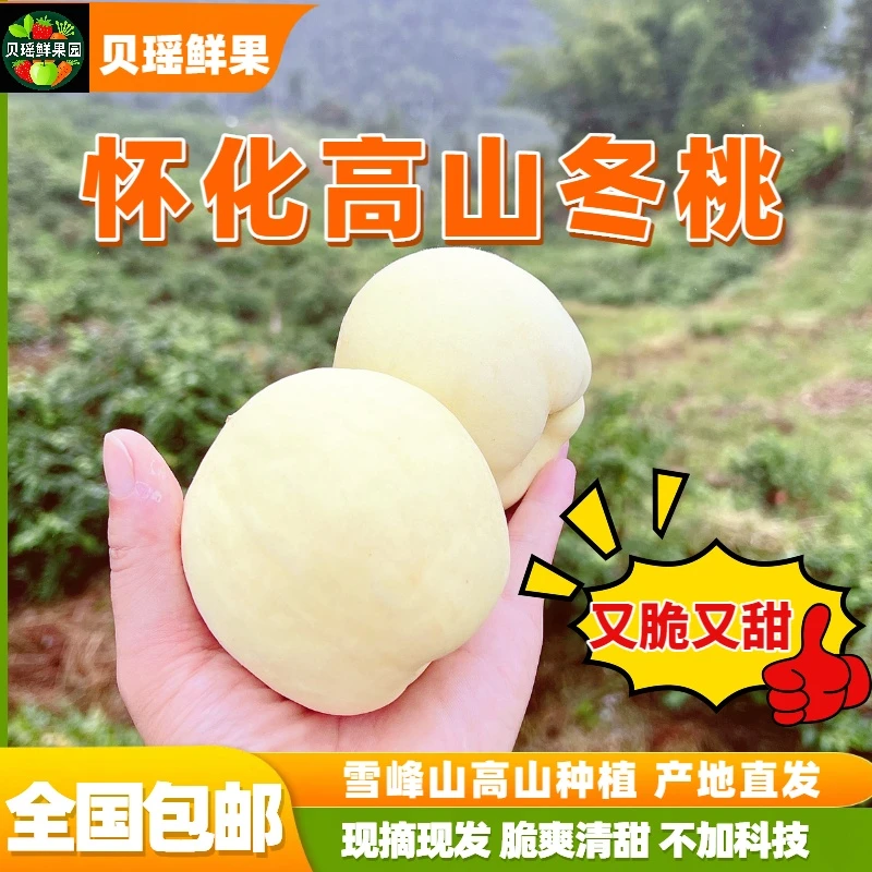 湖南怀化高山冬桃（白玉冬桃）果农自卖现摘清甜无酸蜜桃纯甜脆桃