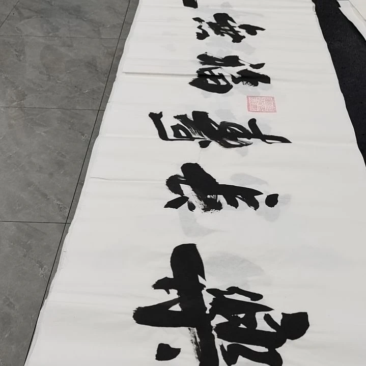 翰墨申国栋老师作品