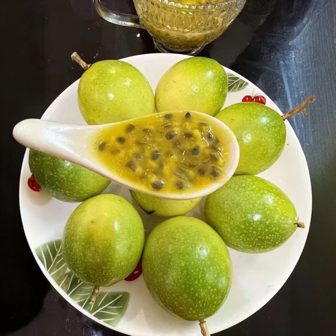 广西钦密-9号百香果（5斤装）