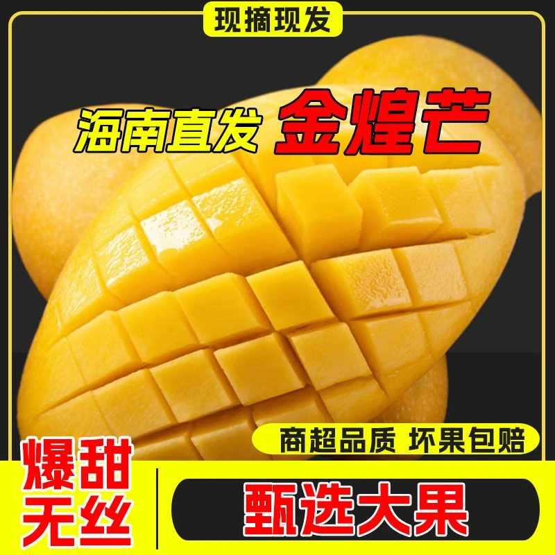 正宗海南金煌芒新鲜水果整箱发货水仙芒果当季现采现发老树大果