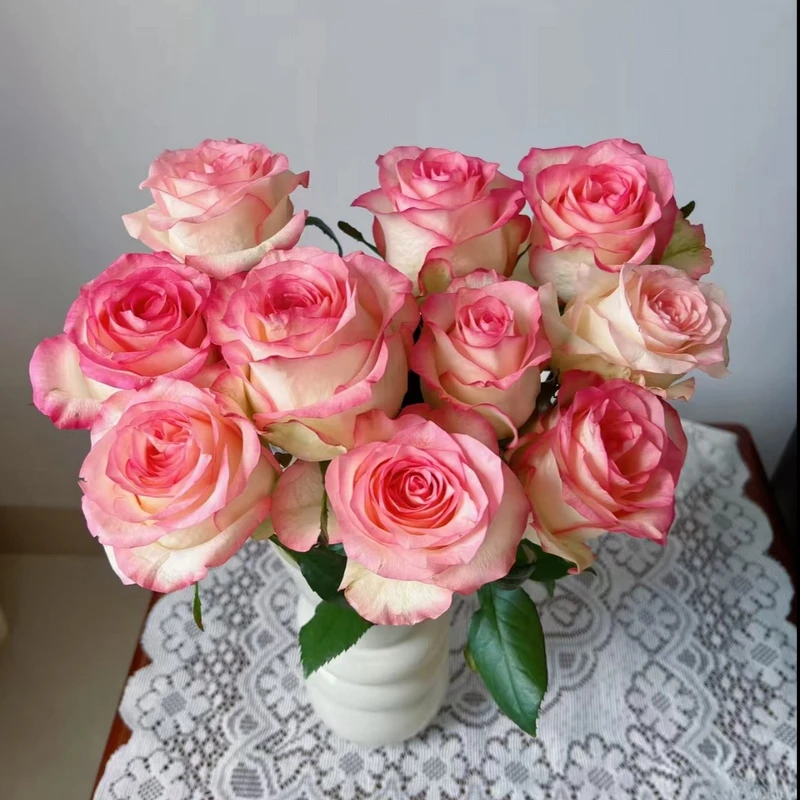 爱莎（艾莎）一束玫瑰花云南鲜花世界直发家庭插花水养新鲜花材