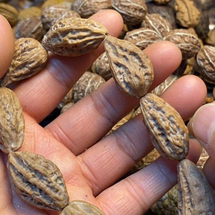 桃核吊坠娜姐真的2