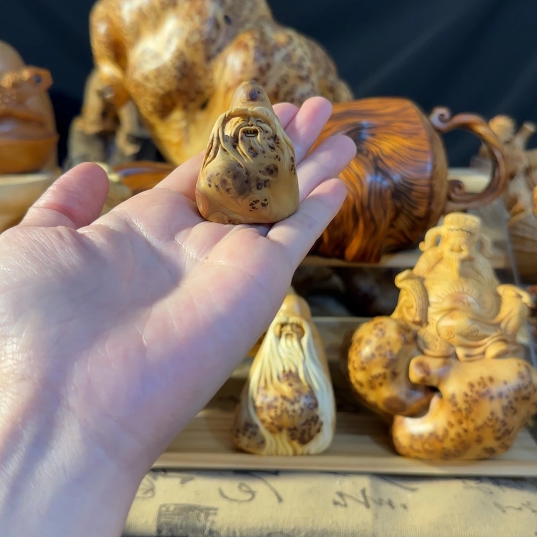 柏木C*h666668888123123