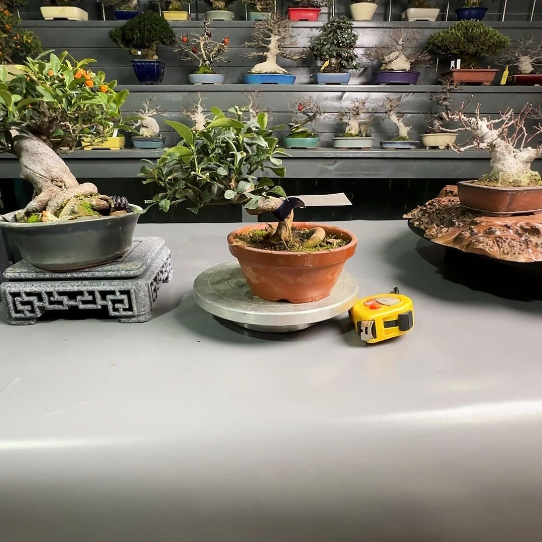 15豆子111111111111