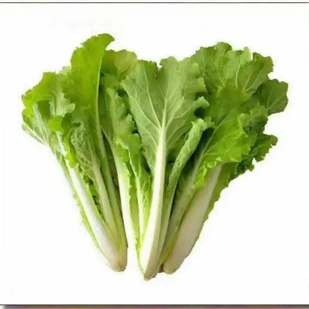 东瓜生态小白菜（500-1000g）白菜