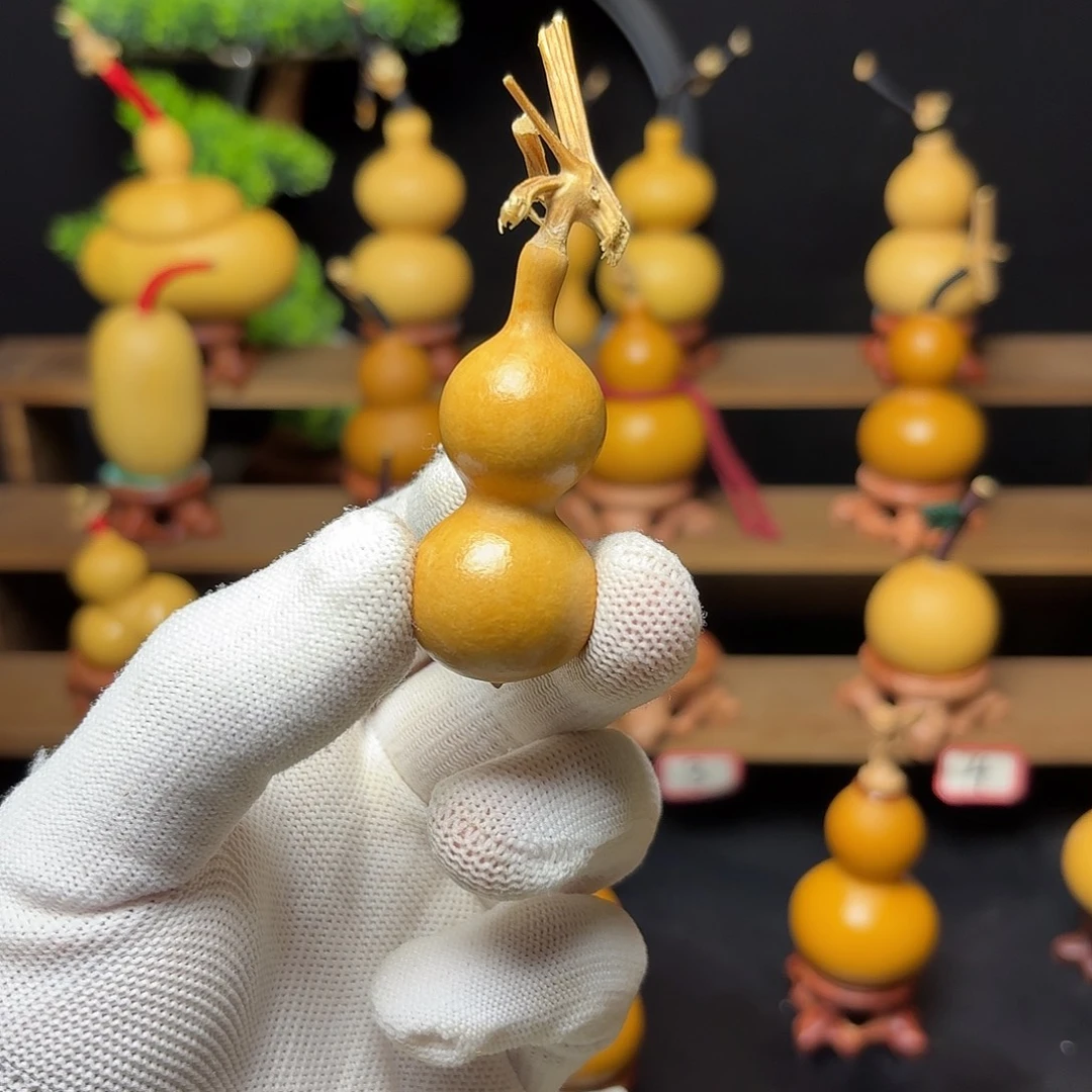 刘***。木天然葫芦 66666666