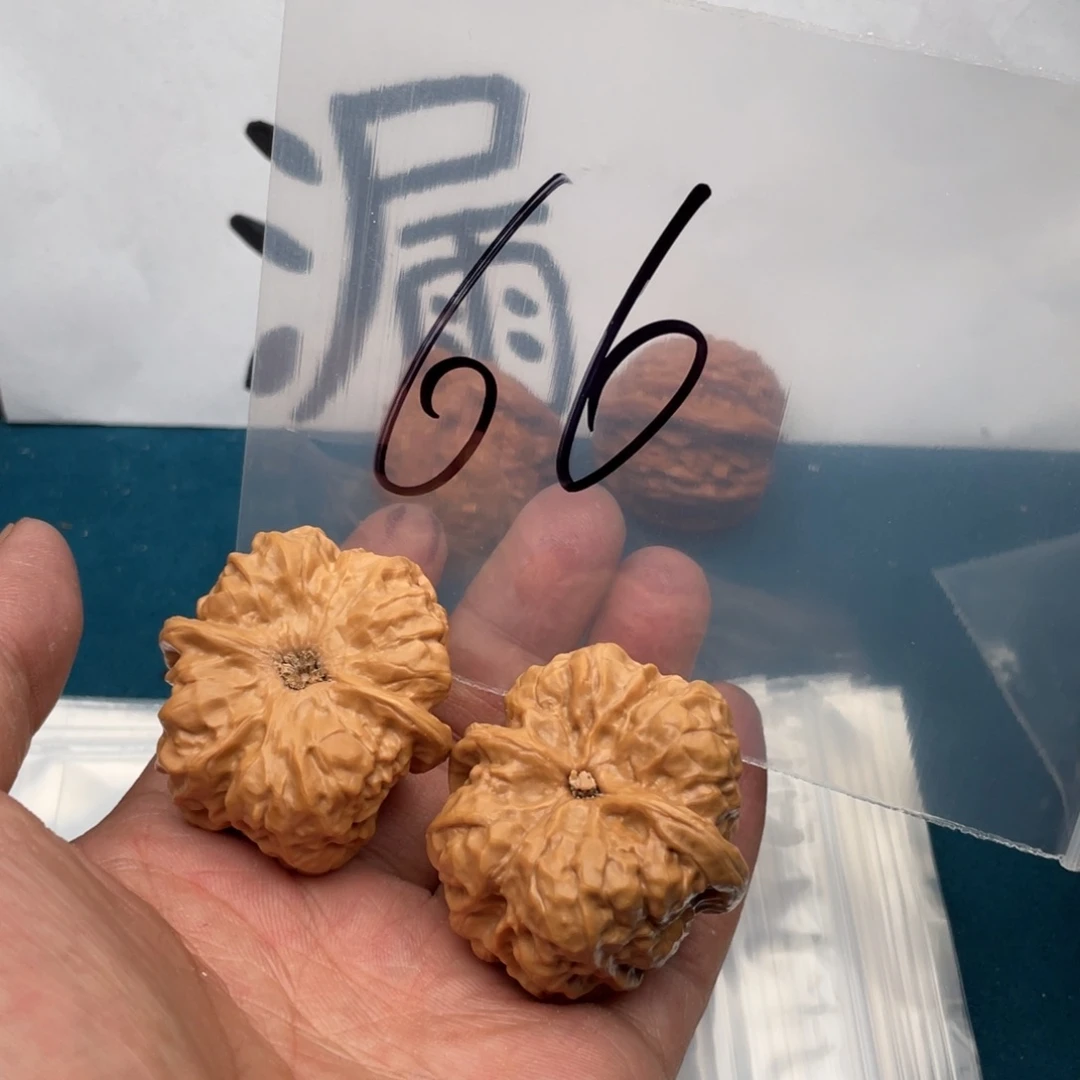 核桃手串/手链W497749749479974