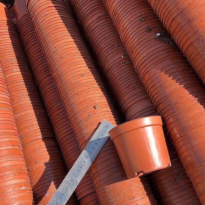 红色矮泡口径10高8发60个