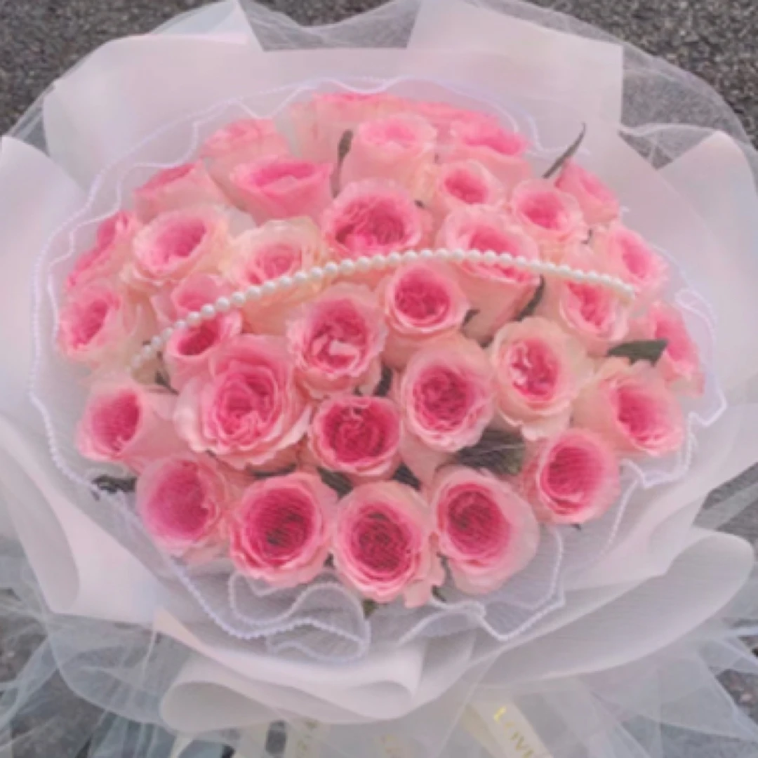 （浩晨）33支洛神玫瑰珍珠盖白色仙女纱