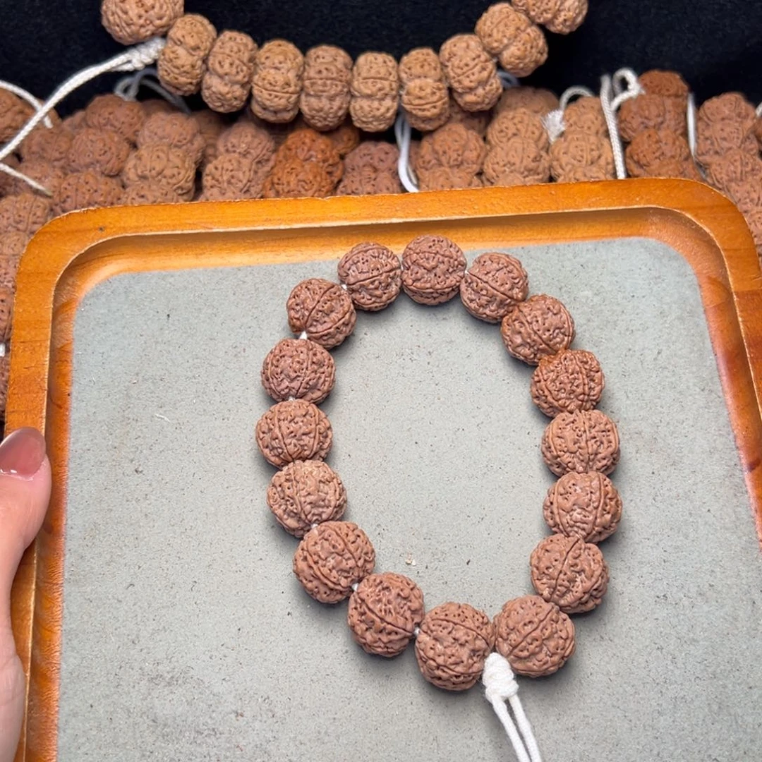 菩提36号金刚菩提六瓣19