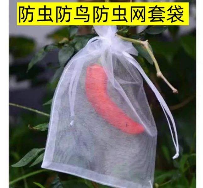 【5个】水果套袋防鸟防虫网袋套袋西红柿番茄葡萄草莓无花果瓜果