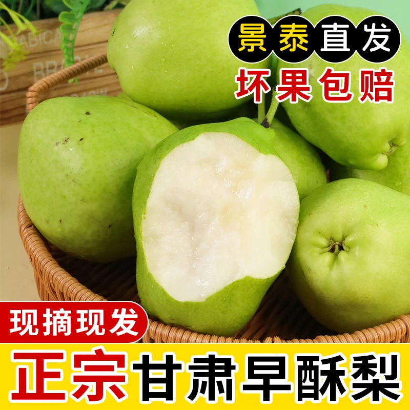 甘肃景泰早酥梨青皮梨子时令应季当季水果现摘先发酥脆多汁