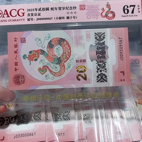 塑料009509567。。。。。。。。。