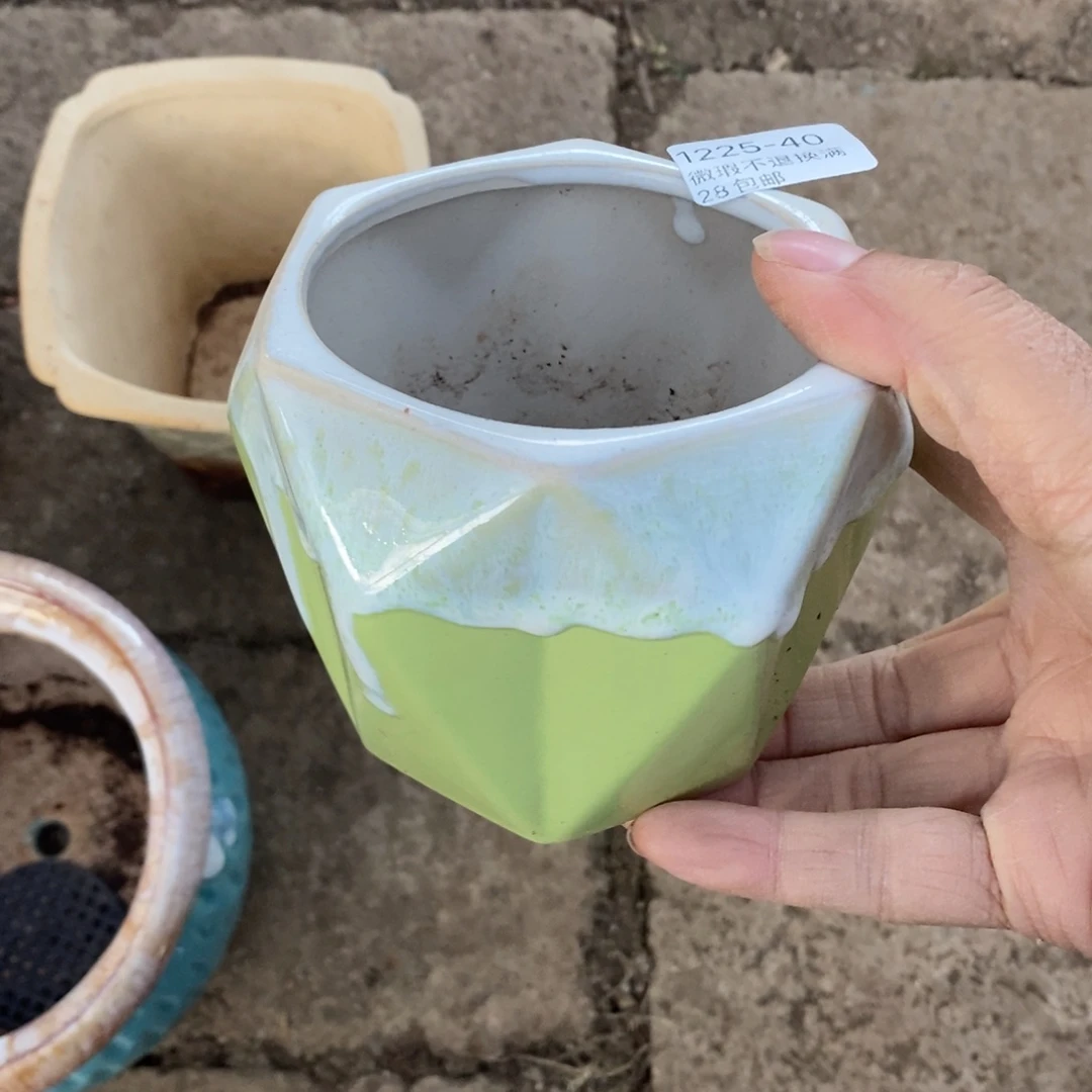 40号多肉盆口径8小可爱