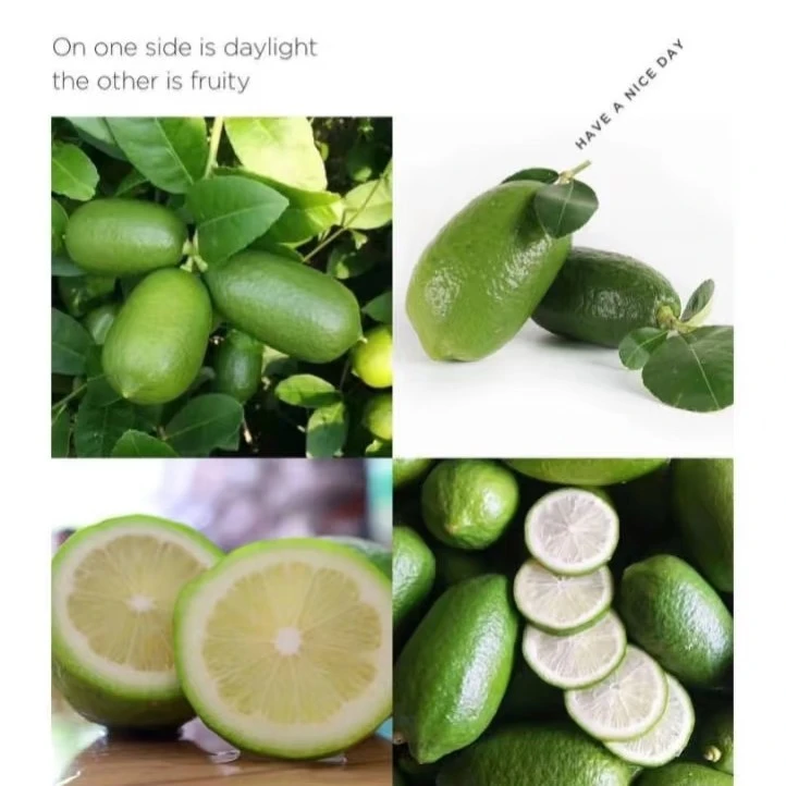 果园直供 海南 酸爽多汁 香水柠檬小金桔