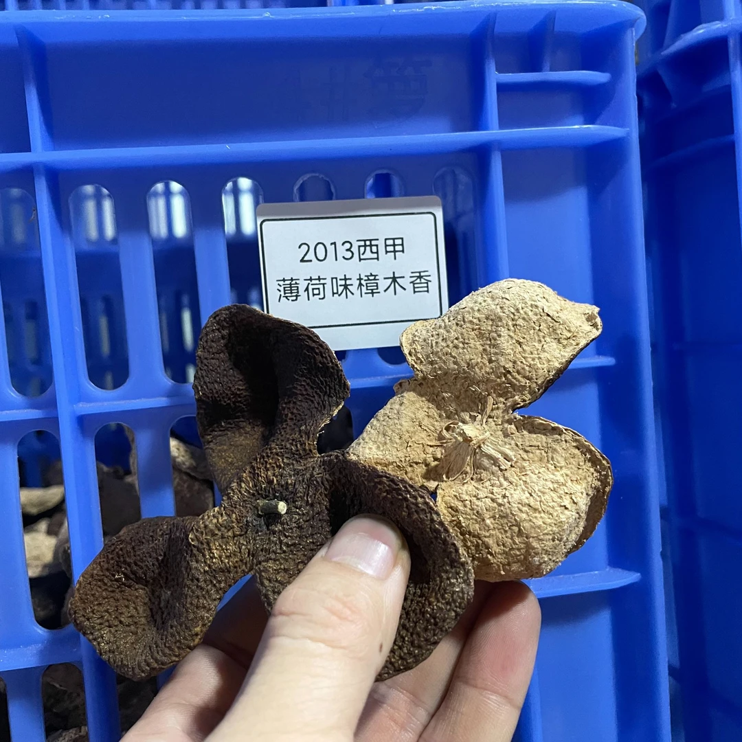 2013西甲薄荷味樟木香老树二红皮私藏高货新会陈皮