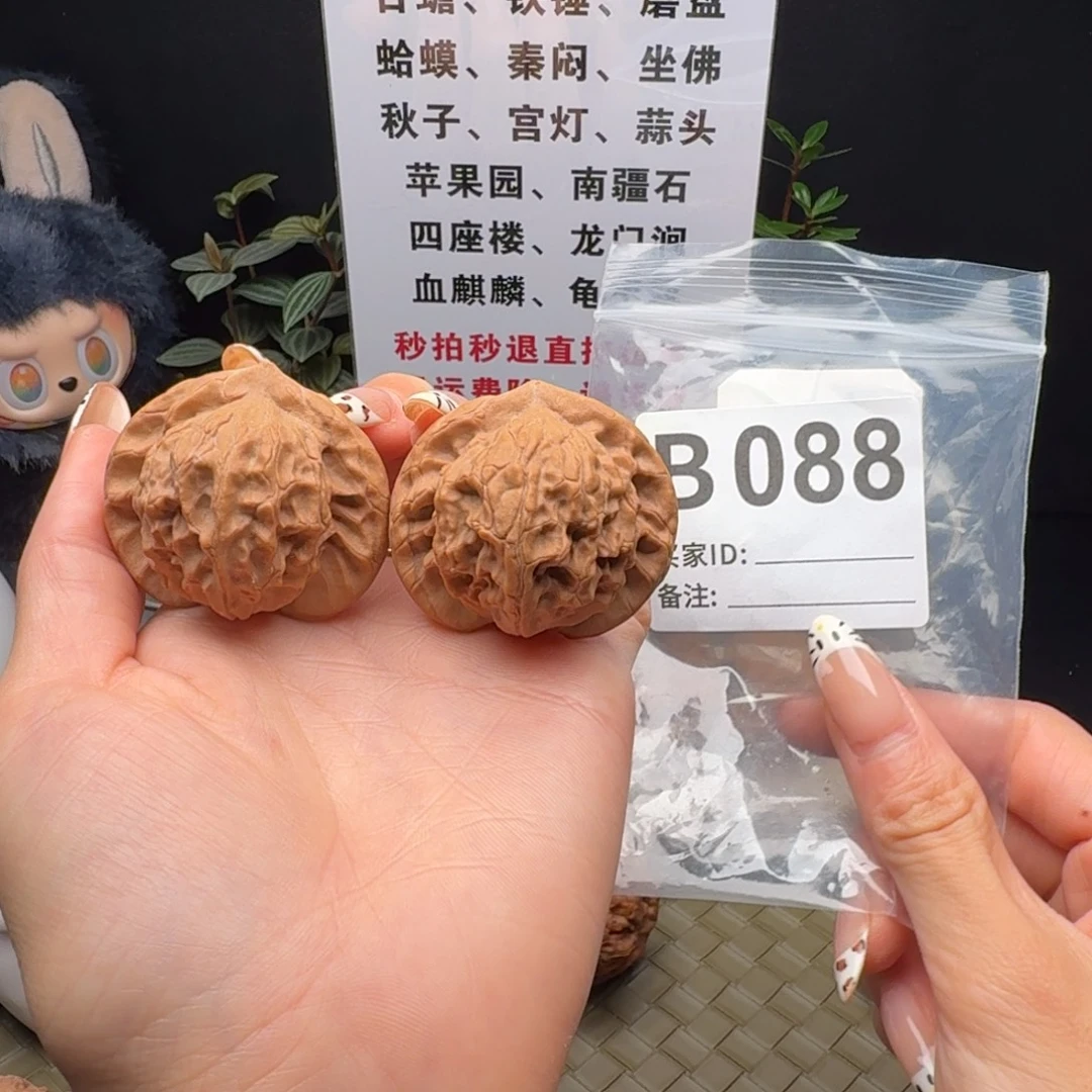 龙脊菩提吊坠图图