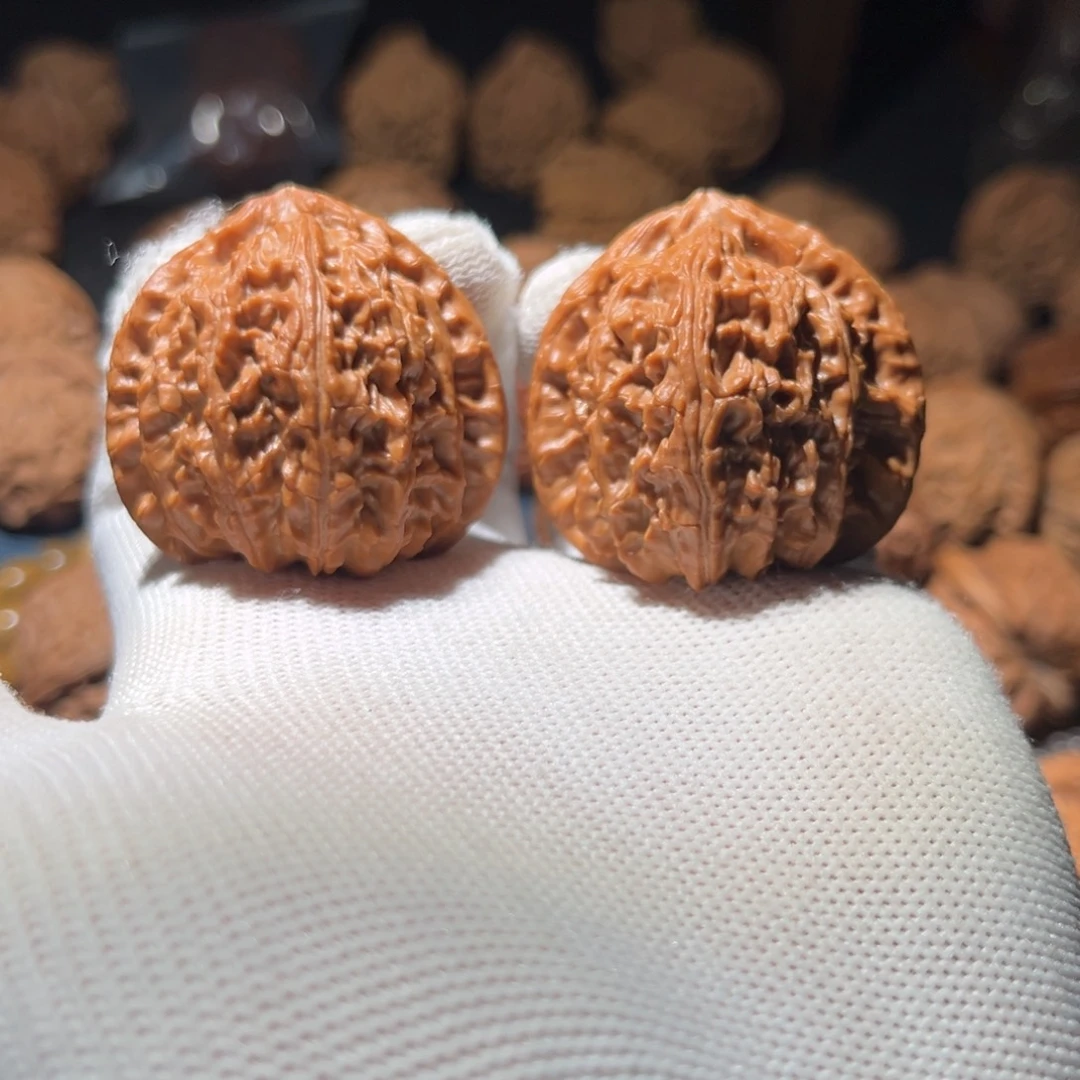 核桃40全品三角白狮子