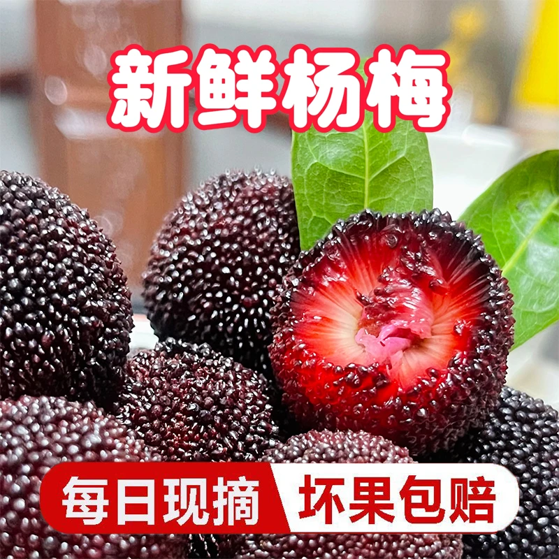 【京东送货上门】福建浮宫杨梅酸甜应季水果现摘杨梅酸甜多汁H