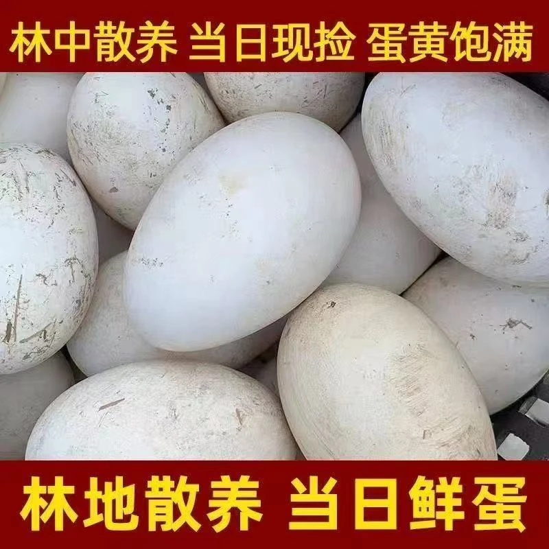 新鲜农家散养土鹅蛋整箱发货适合孕妇宝宝