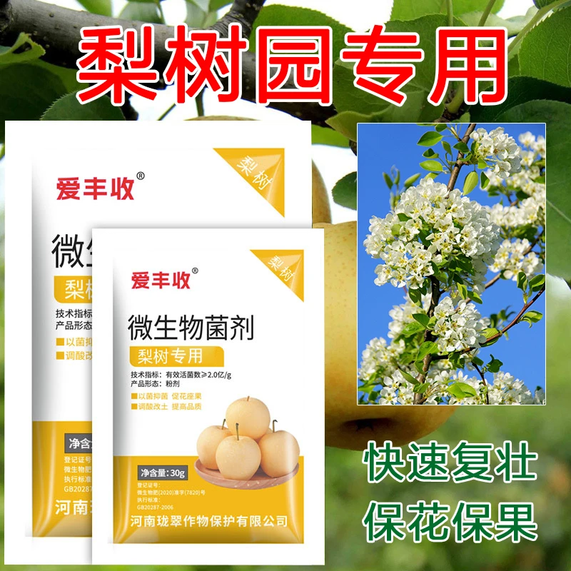 爱丰收梨树病菌清梨锈黑星炭疽黑斑褐斑白粉梨子梨树专用微生物肥