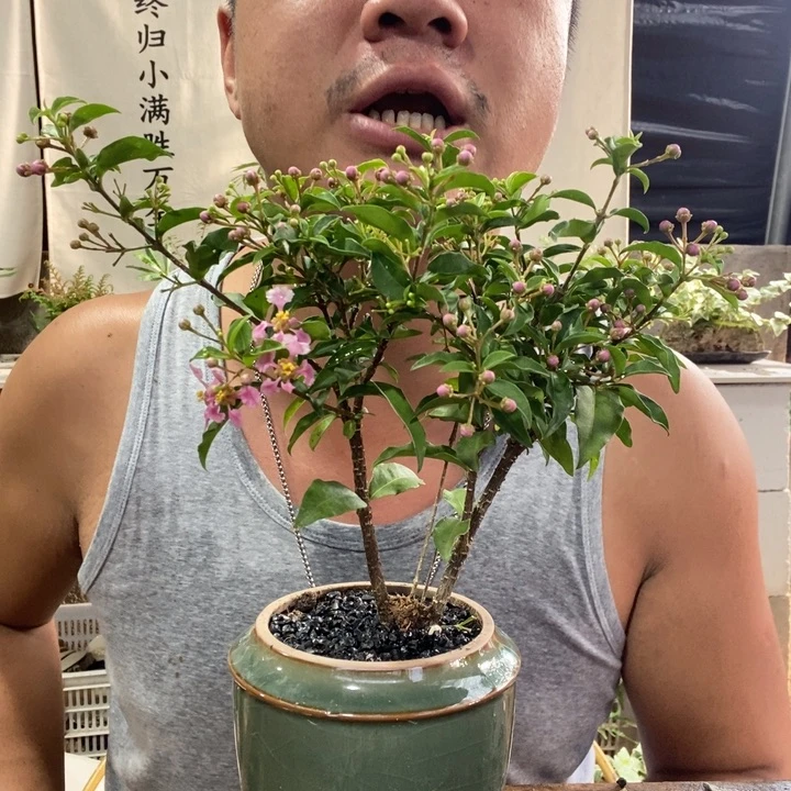 无花朵退款拉黑拉黑55