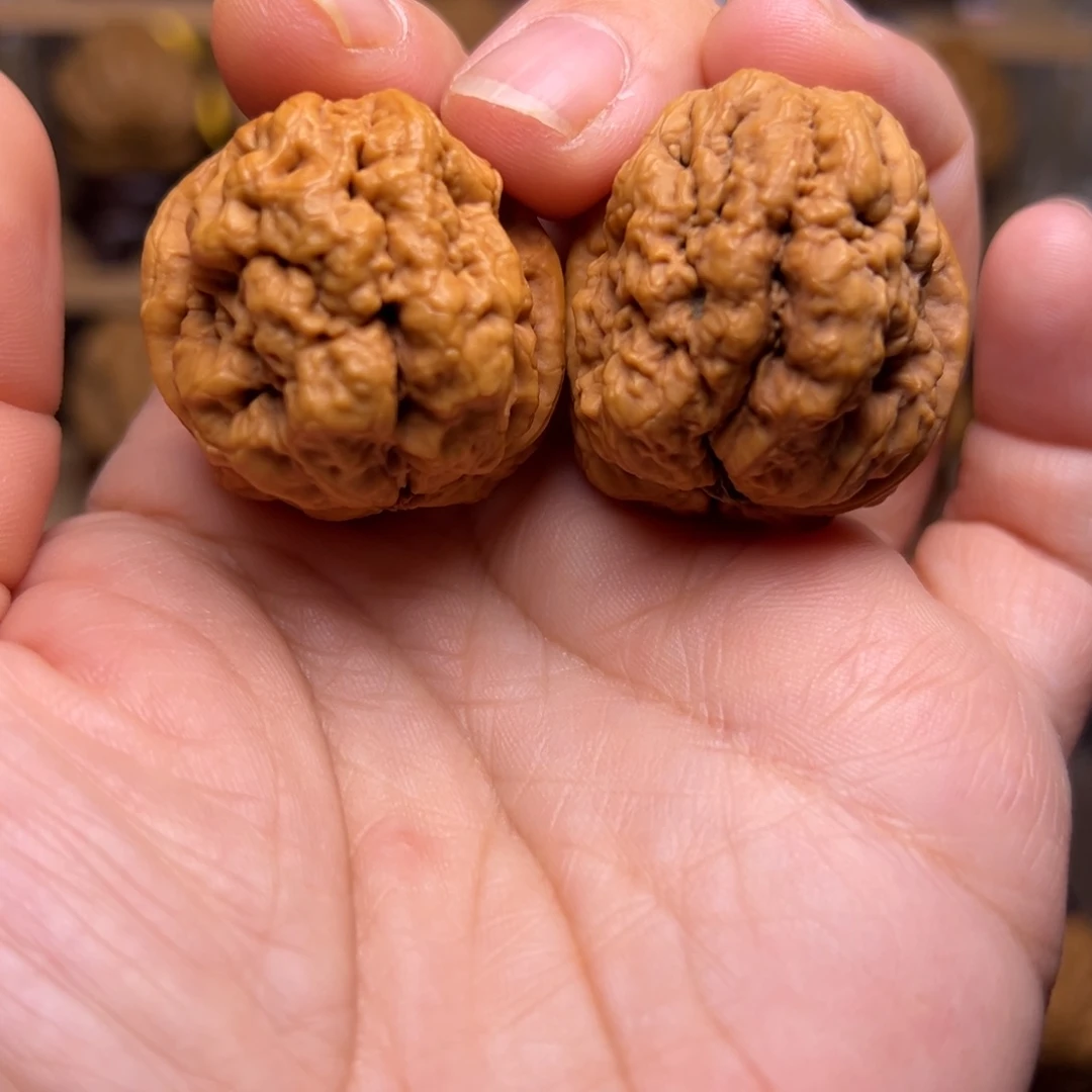 文玩核桃把件17w血舍利34尺