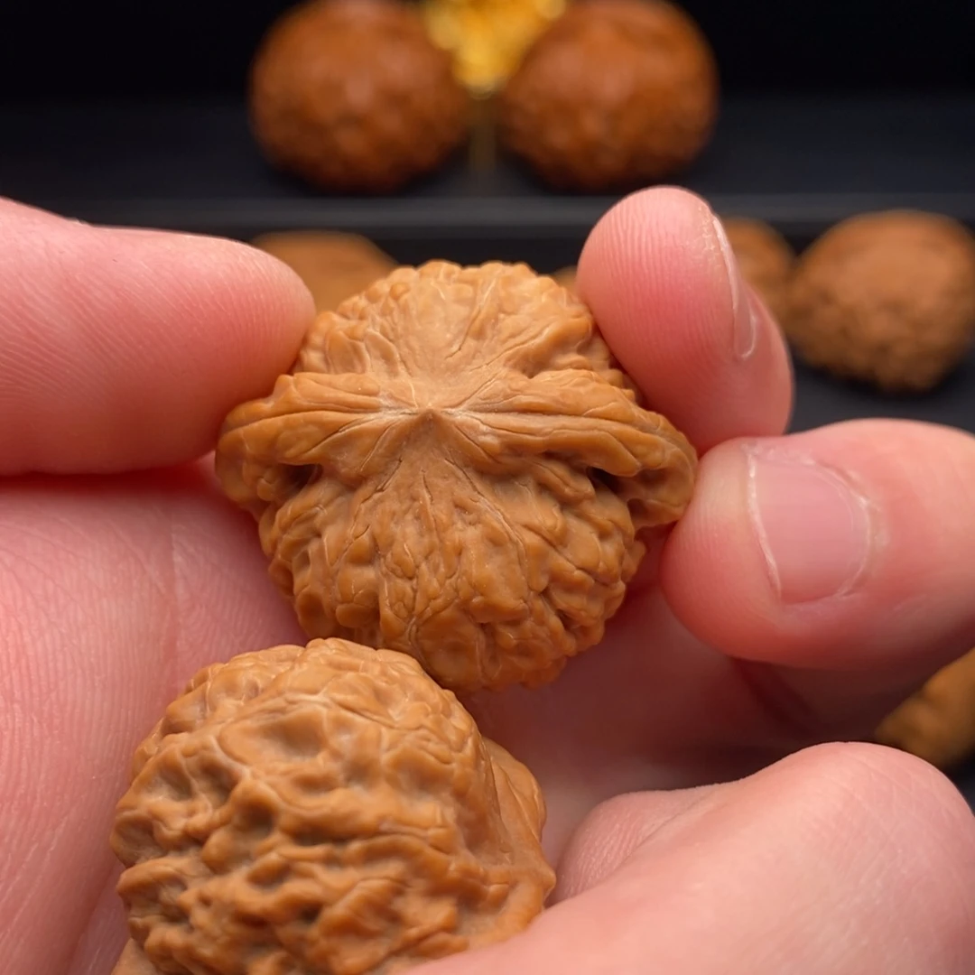 珠***虫文玩核桃把件核王
